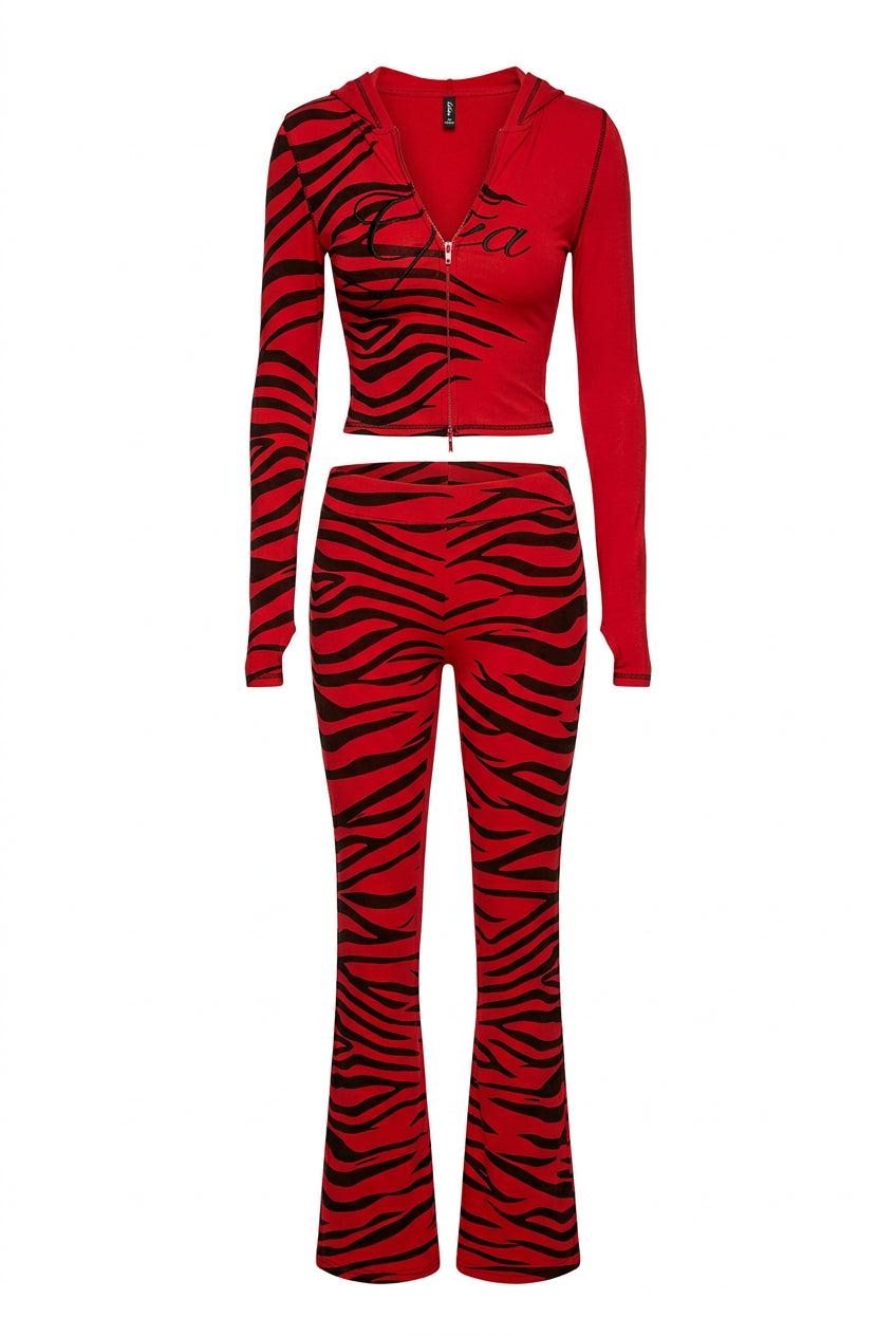 Animal Print 2-Piece Crop Top & Pants Set