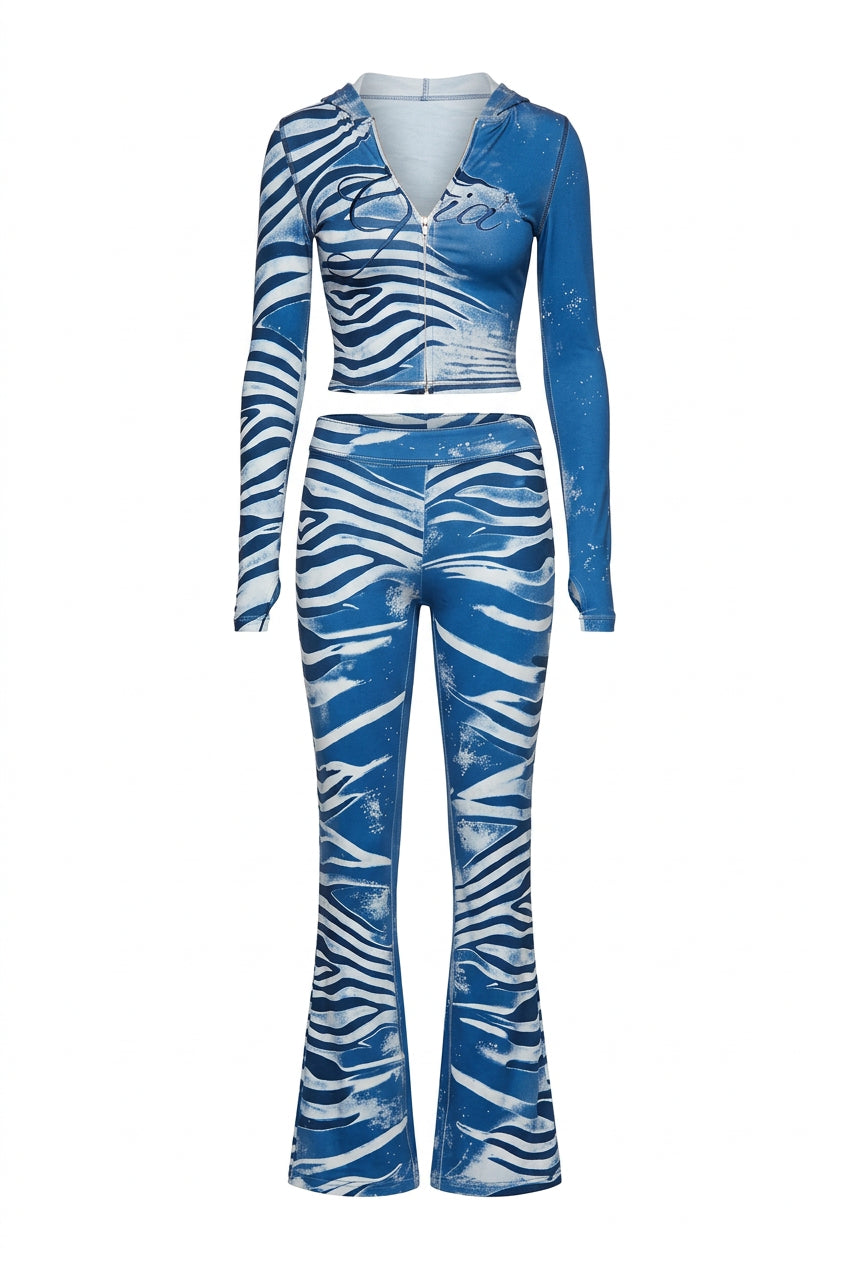 Animal Print 2-Piece Crop Top & Pants Set
