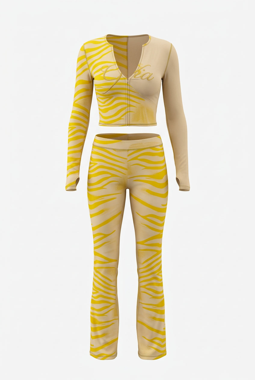 Animal Print 2-Piece Crop Top & Pants Set